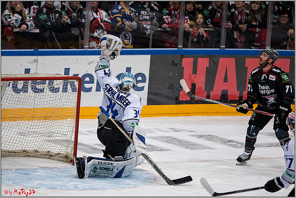 Koelner Haie - Schwenninger Wild Wings, 11.12.2016
